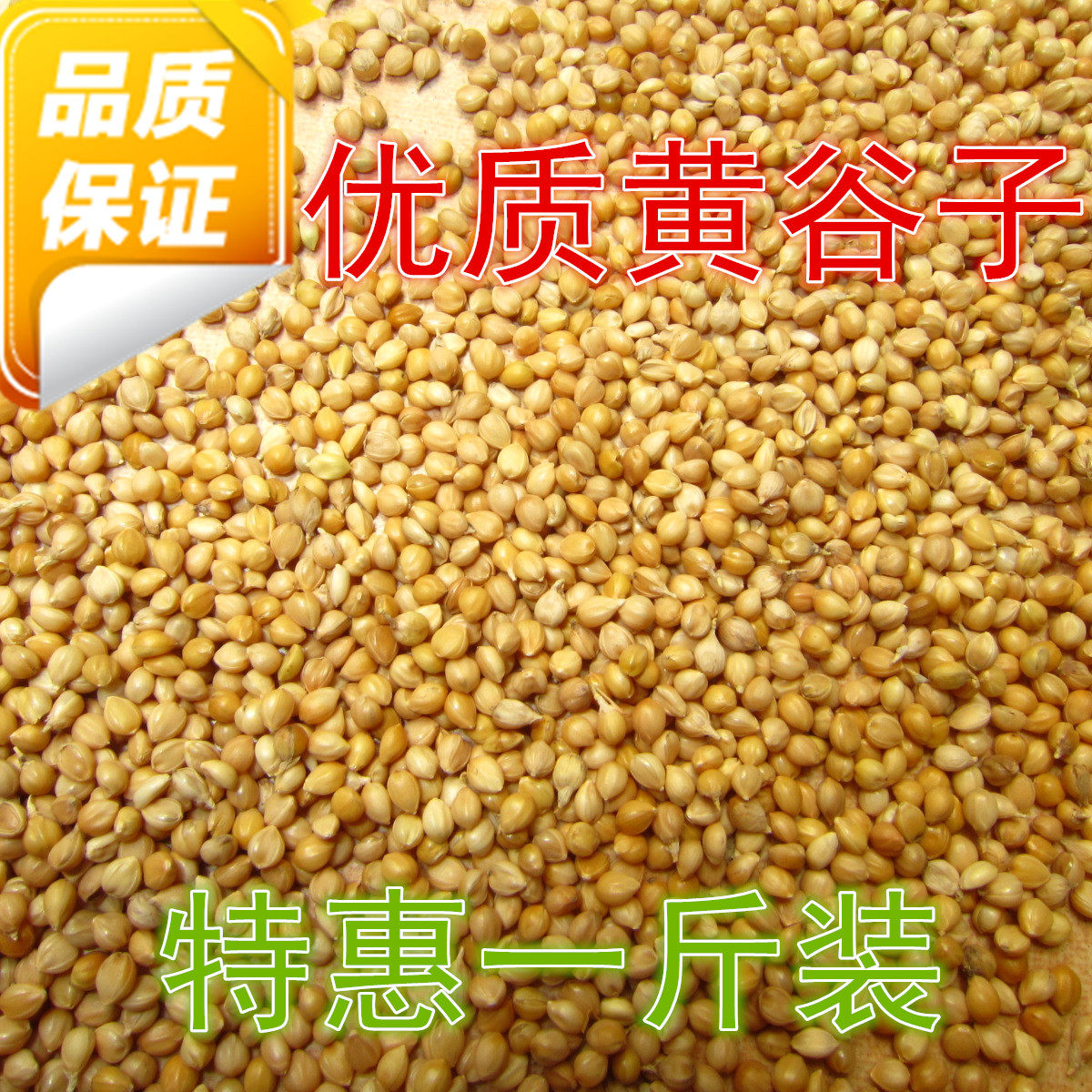 Bird Food Bird Feed Natural Food Grain Grain Cereal Parrot 500 gr Unhulking Millet Selected