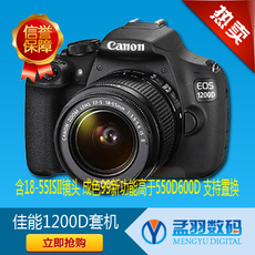 профессиональная цифровая SLR камера 佳能1300d 3000d