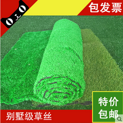 Encrypted Artificial Lawn Emulation Lawn Plastic Fake Lawn Building Top Balcony Kindergarten Special Artificial Turf Carpet