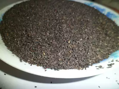 Chinese herbal medicine plago wild plago 500g 18 yuan two catties