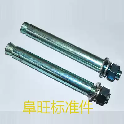 Galvanized expansion screw Iron expansion screw extended extra long expansion M20*150 200 250 300 400