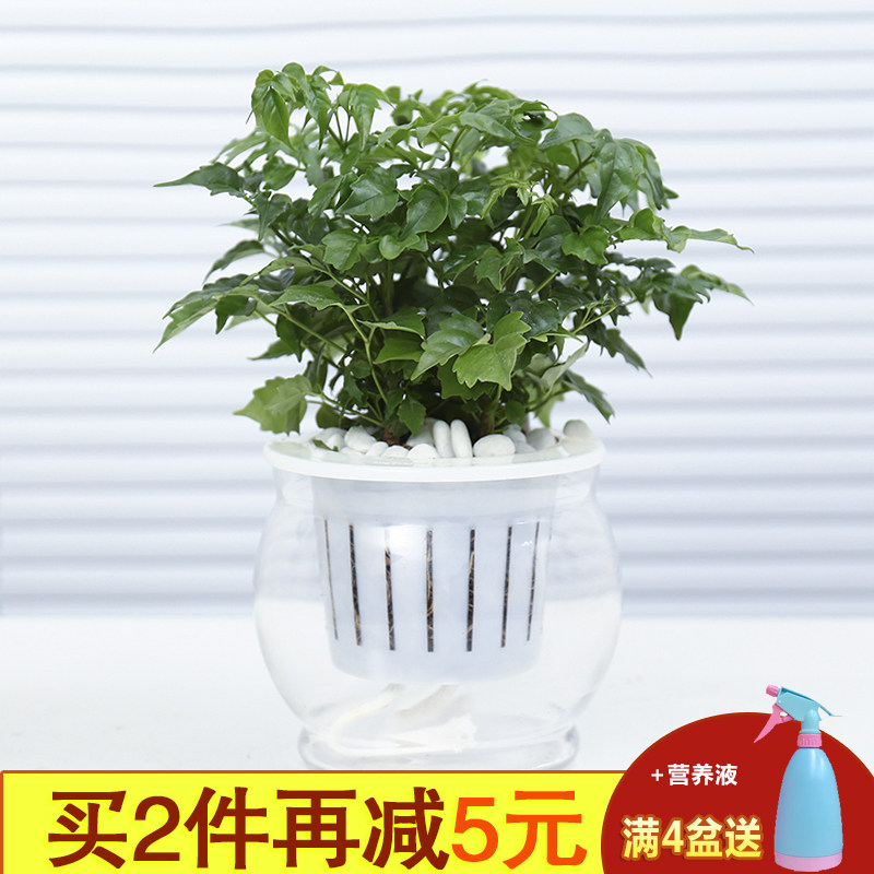 �ü������Ҹ���02