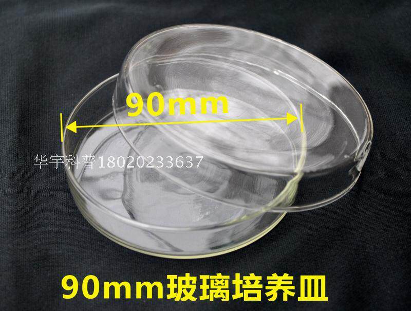 玻璃培养皿90mm生物实验器材细菌培养组织培养可开票