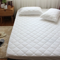 Zongdian mỏng latex nệm pad đặc biệt giường nắp bảo vệ Li Giường bông bông bông bông bộ pad giường - Trang bị Covers Mẫu ga phủ giường
