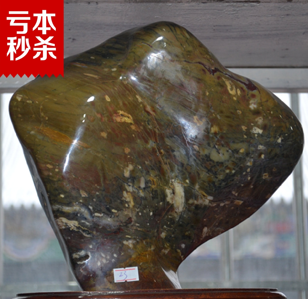Boutique Liao Xi Chaoyang Tree Fossil Wood Fossil Silicalized Wood Raw Stone With Shape Pendulum Pieces Fine Polished Collection Grade Decorations