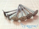Opel Vectra 2.0 / 3.0 Omega 2.2 Van xả khí động cơ xi lanh đầu thanh khí phụ tùng ô tô phụ kiện ô tô hà nội Những bộ phận xe ô tô