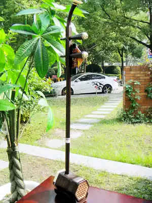 Store direct for technicians to choose Dunhuang erhu DN6AK selected first-class ebony plain facial decoration