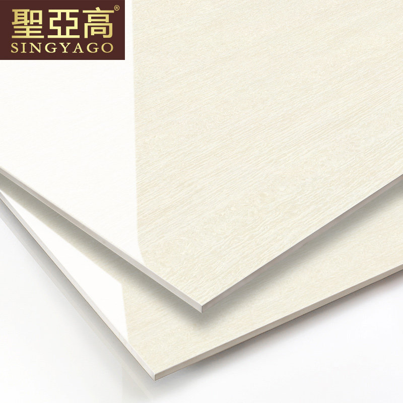 ʥ�Ǹ߼�Լ�ִ���שPGZ8801