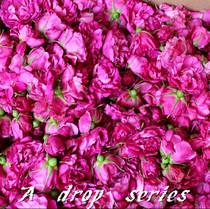 Fresh Pinkin Rose Flowers Retals Red Rose Every Year April Flower Season Extraction Pure Dew Rose Jam Special