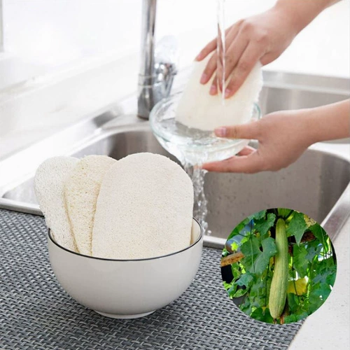 淘乐士 Кухонный растение Loofah, блюдо, смазку, чтобы удалить грязную луновую дыню, вымыть кастрюлю, смазать плитку, смахивать маслом