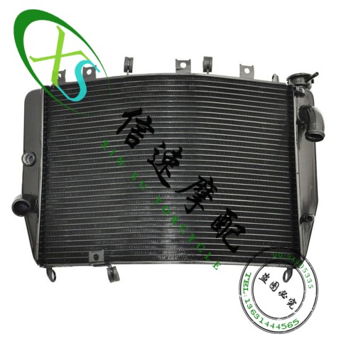 適用ZX9R ZX-9R 00-01-02-03年水箱總成水箱散熱器水冷器