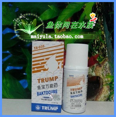 Optimizing fish potion, the common sterilization drug in tropical fish goldfish white spot eye - blind mold