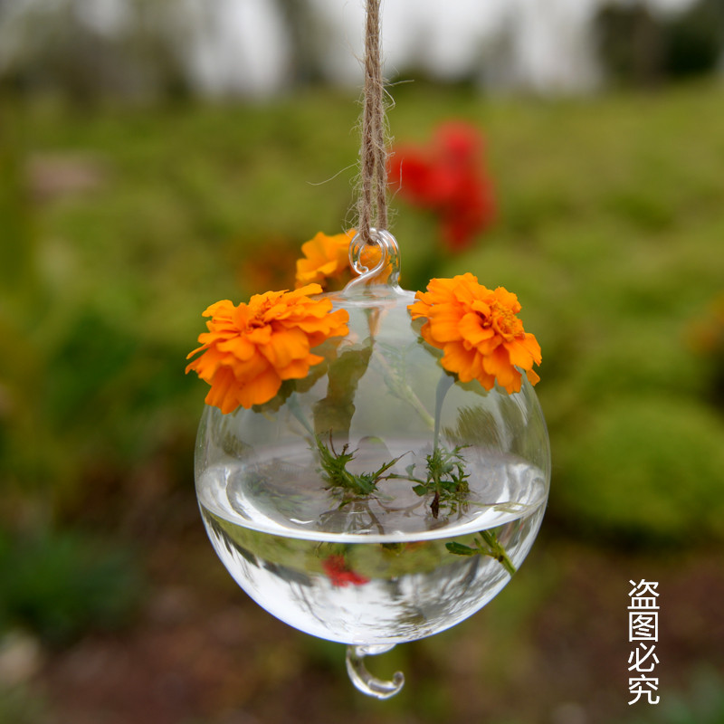 Eurostyle string of ball vases Hanging Glass Vases Home Craft Gift Hem Accessories (without hooks)