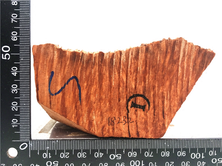 Romeo Nanroo Wood with Piston Nanrooma First Line Fighter Supplier Leather Small No. I 18232