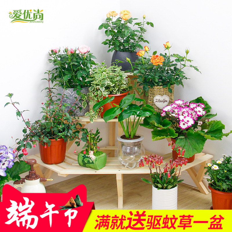 ����������ԭʵľ���ζ�㻨��