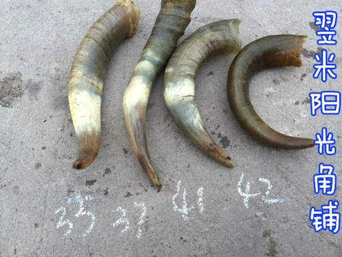 Старое скальпель сырье для чистого натурального сырья в течение более десяти лет старого рога рога рога рога из быка скальпель