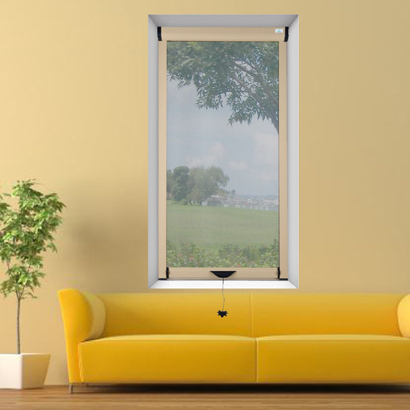 ������ɴ������ɴ��a5