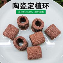Fish tank aquatic plant planting ring volcanic stone breathing ring ceramic ring planting water banyan moss stem type large grass plant