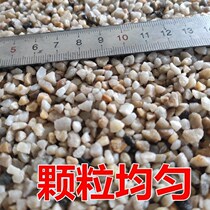 Chestnut fried with peanut sand special fried chestnut with sugar sand special fried peanut round shape special fried melon seed with sand