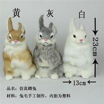 Simulation rabbit rogue rabbit specimen rabbit real rabbit craft rabbit F big white rabbit and small white rabbit three colors optional and included