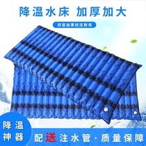 Summer ice mattress water bed ice pad water-filled student dormitory single mat sofa cushion cool cushion cushion cooling artifact