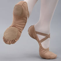 Belly dance shoes practice shoes professional yoga dance shoes soft sole adult lace-free cat claw shoes womens classical