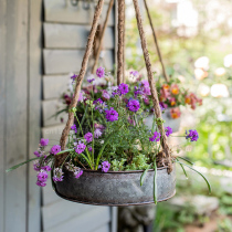 Iron Hanging Flowerpot Hanging Succulent Plant Pots