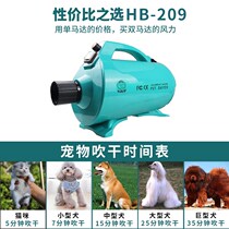 Big dog water blower pet hair dryer high power water blower dog and cat high wind hair blower bass hair blower