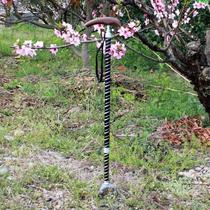 High-end mahogany handle small three-legged elderly crutches snow-proof middle-aged and elderly crutches telescopic walking stick
