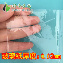 玻璃纸 耐高e温透明玻璃纸 实验室透析用平板玻璃纸 100cmX120cm