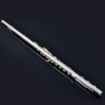 Flute instrument open hole beginner French keys key G cover carving 17 holes B tail