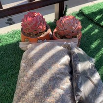 Xiao Xis personal use 80% granular soil control shape and color water retention and breathability 5 catties (one shot of 6 shots of 7)