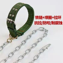 Spot anti-bite dog leash lengthened 5 meters dog chain dog chain dog collar iron chain dog leash