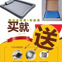 Bubble water mattress hotel sauna bath water bed into massage water K therapy single bed double love bed Heng