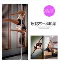 Dance pole reinforced indoor professional pole dance pole portable fixed rotating adjustable steel pole silver-plated