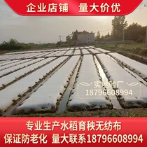 Rice seedling raising non-woven fabric agricultural seedling raising seedling non-woven fabric anti-aging non-woven fabric manufacturer