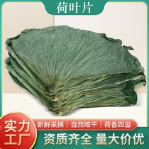Hunan origin a whole lotus leaf dried naturally for tea soaking lotus leaf rice glutinous rice chicken special for beggars chicken