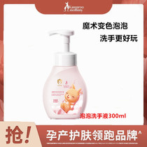 Kangaroo Mom Handlavage Liquide Femme enceinte Bébé Ww et disponible Nettoie nettoyeuse Bactériostatique mains propres presse pour portable