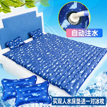 New Ice Mat Waterbed Water Mat Students Dormitory Cool Mat Single Water Cushion Drop Warm Water Mattresses Double Sofa Cool Mat Ice
