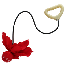 Competition-specific Teddy Industrial brand Tai Chi fitness ball elastic E rubber rope middle-aged and elderly Tai Chi single ball Taisheng Jian