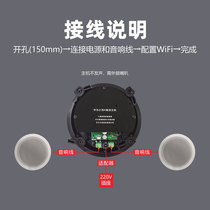 Promotion HUAWEI Hilink ceiling host ceiling speaker speaker voice controlled Bluetooth audio smart home system