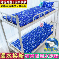 Ice mattress mattress water mattress household air-drying seat cushion double water bed summer single student dormitory bed cold cushion