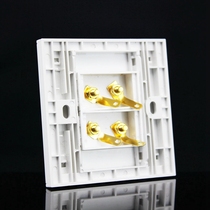 Two-position speaker socket type 86 panel multimedia surround sound panel M smart home wall weak current surface
