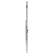 Original 16 closed-hole silver-plated 211SL silver-plated closed-hole H371 B tail flute for beginners grading