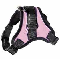 现货Pet Dog and Cat Adjustable Harness witMh Leash Reflectiv