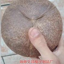 Coconut shell old coconut shell nest opening 9 rough surface kindergarten school creative diy lamps crafts decoration materials