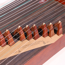 Guzheng Code Placement Schematic Guzheng d Zither Code Placement Figure to locate the Tuzheng Code bits installation picture code