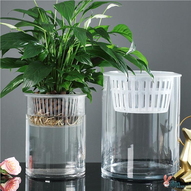 Hydroponic Plant Glass Bottle Cylindrical High Borosilicate Glass Moss Ecological Bottle Indoor Desktop Small Flower Pot Straight Tube Art