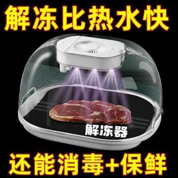 New Model Food Defroster, Fully Automatic Defrosting, German Frozen Food Household Constant Temperature Kitchen Preservation Device, Quick Defrosting for Steak