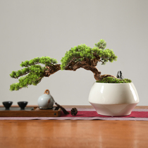 SAUMUR Green Plant Simulation Greet Guest Loose Pendulum New Chinese Meditation Bonsai-style Dining Room Genguan Decoration